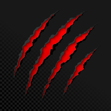 Claws scratches on transparent background