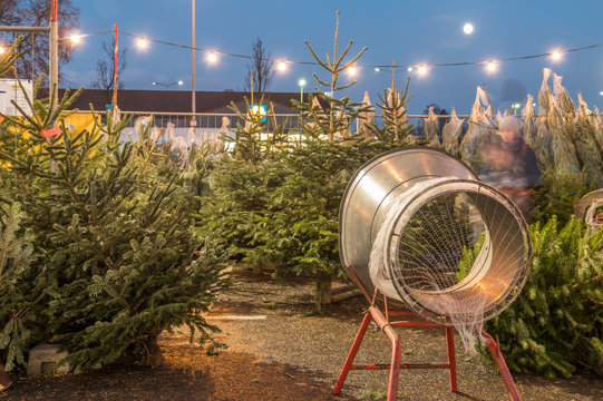 Weihnachtsbaum Verkauf w&auml;hrend der Nacht