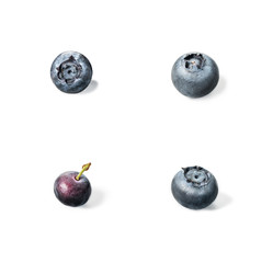Collage of Blueberries isolated on white background