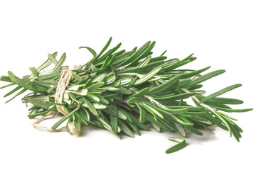 Related stems of fragrant fresh green rosemary