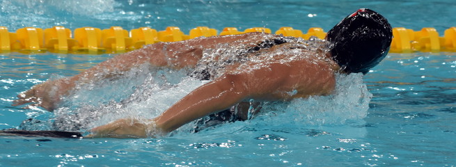 Woman swimming butterfly. Swimmer in swimming pool.
