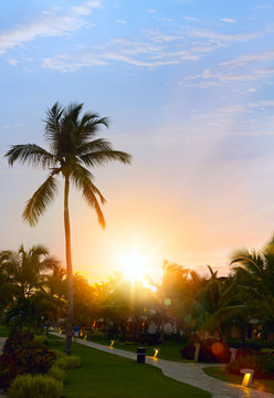 Peaceful tropical background; Sunset in the tropic