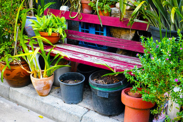 Park Bench Surrounded with Pot Plants. Green sidewalk with red street furniture and flowers.