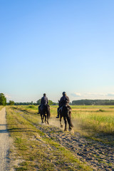 Fototapeta premium Dark riders in the late evening sun