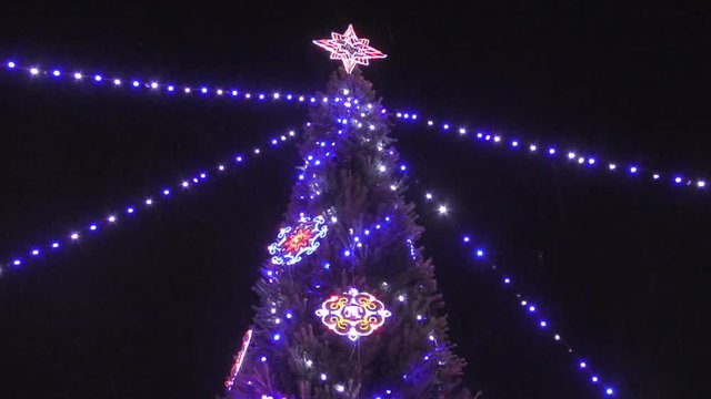 Multicolored lights on the Christmas tree