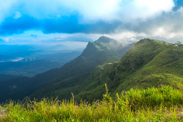 The mountain in the morning Doiphatang Chiangrai province Thailand.