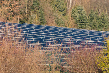 Solaranlage am Waldrand