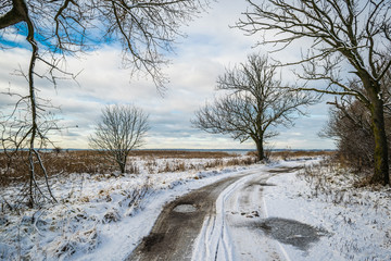 Зимний пейзаж с дорогой и корявыми деревьями