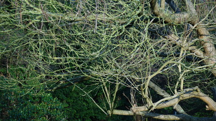 In a park in Antwerp