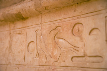 LUXOR, EGYPT  Ancient Deir el-Bahari or Dayr al-Bahri is a complex of mortuary temples and tombs located on the west bank of the Nile, opposite the city of Luxor, Egypt. 