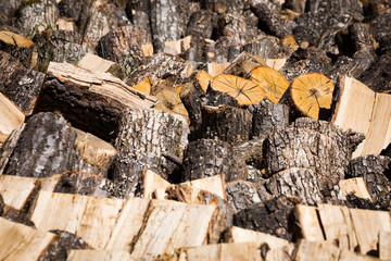 Dried logs on a wood pile for winter fuel