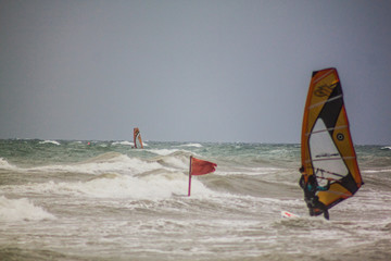 Rough sea with windsurfist, Italy