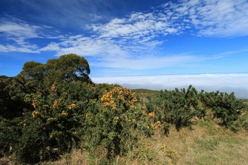 Fototapeta premium VIEW SINCE THE PITON MAIDO , MAFATE CIRCUS , IN REUNION ISLAND , FRANCE , OCTOBER 2016