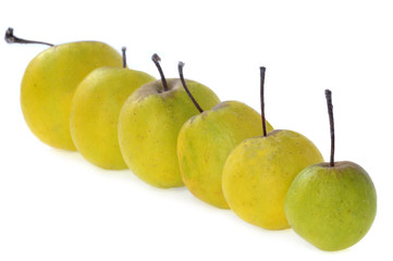 Pommes de différentes tailles sur fond blanc