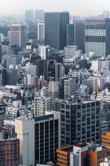 Fototapeta premium Pejzaże miejskie tokio zimą we mgle, Skyline of Tokyo, budynek biurowy