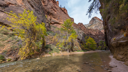 Riverside walk, beautiful hike along the Virgin River. Zion National Park, Utah, USA