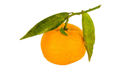 Mandarine bzw Clementine mit Blatt auf Weiß isoliert