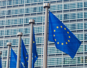 European Union Flags in Brussels
