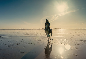 cavalière au galop sur la plage