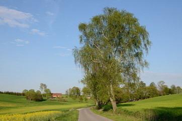 Warmia wiosną