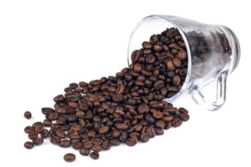 cofee beans on white