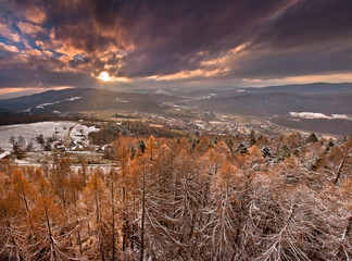 Śnieżny zimowy dzień w górskim mieście Muszyna. Snowy mountain in Muszyna - Poland.   © rogozinski