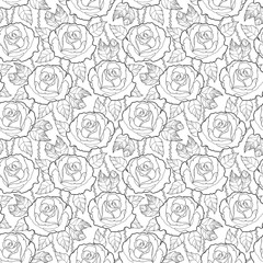 Vector seamless pattern with outline rose flower, stems and leaves in black on the white background. Elegance floral background with roses in contour style for summer design and coloring book.