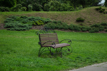 bench in the park in summer