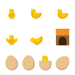 Yellow chick action story, hen house illustration icon flat design set isolated on white background, vector eps10