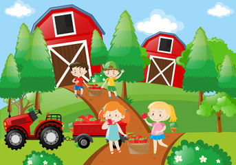 Obraz na płótnie Canvas Children pick up fruit in the farm