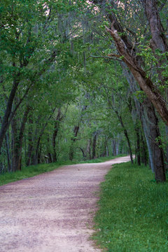 Pathway in Brazos Bend State Park in the Evening