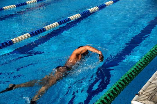 Swimmer in the swimming pool