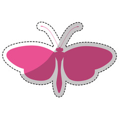 pink butterfly icon over white background. vector illustration