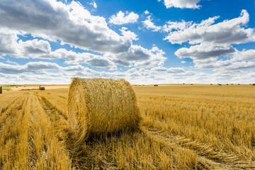 Big Sky, Valley near Glasgow, Montana, USA