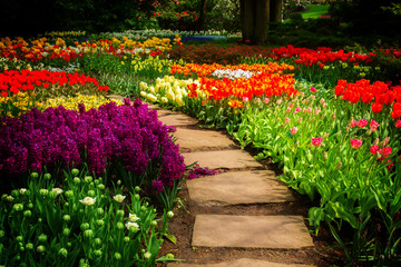 Stone path winding in spring flower garden with blossoming flowers, retro toned