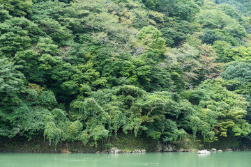 Obraz premium Lake in Arashiyama of Japan