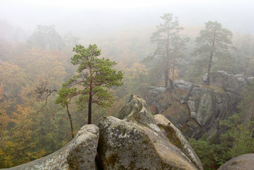 cedar cliff fog