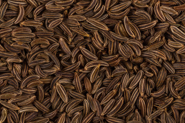 Close up caraway seeds