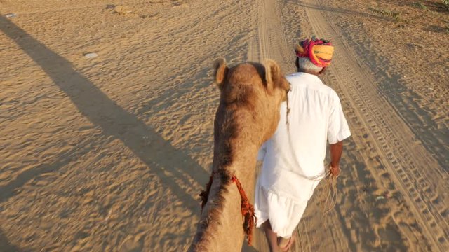 Point of View of a ride of camel in sand dunes in the desert