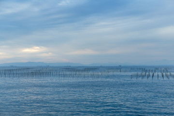 Obraz premium Fish farm