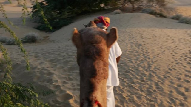 Point of View of a ride of camel in sand dunes in the desert