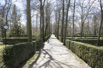 Fountains and gardens of the palace of Aranjuez in Madrid, Spain