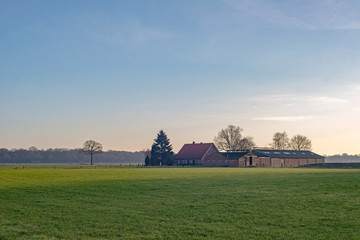 Fototapeta na wymiar Dutch wide open rural landscape with farm. Achterhoek. Gelderlan