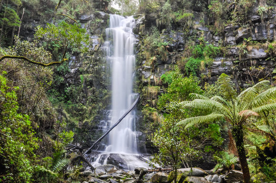 Fototapeta Erskine Falls on the Great Ocean Road, Australia