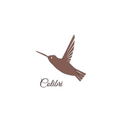 Colibri logo. Hummingbird Identity design template. Vector illustration for your company.