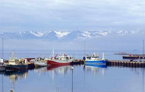 Fototapeta Hafen von Húsavík / Husavik mit Booten, Blick über die Skjálfandi-Bucht auf die bergige Halbinsel Flateyjarskagi mit dem Gletscher Víknarfjöll, Norðurland eystra, Island, Europa 