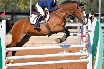 Crédence de cuisine en plexiglas Léquitation Rider on horse jumping over a hurdle during the equestrian event