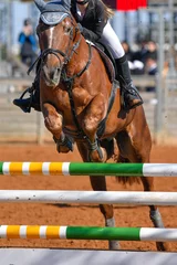 Crédence de cuisine en verre imprimé Léquitation Rider on horse jumping over a hurdle during the equestrian event