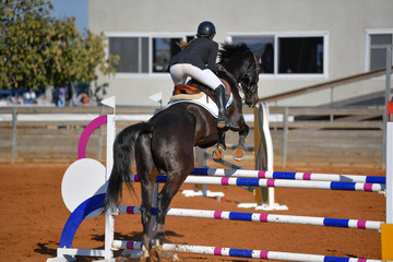 Rider on horse jumping over a hurdle during the equestrian event