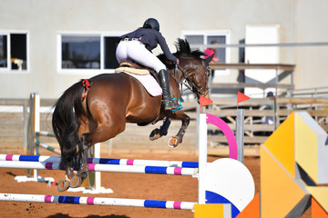Rider on horse jumping over a hurdle during the equestrian event
